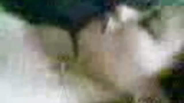 Amateur pelirroja lapdances y chupa dick metiendose cosas en el ano