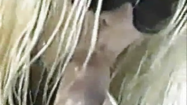 SINN SAGE JUGADO DURO de por el ano no xxx filmhond