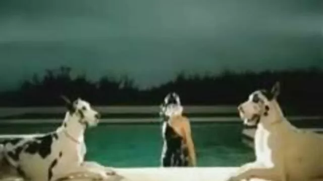El Monstruo Verde y la diva por el ano porno sexi