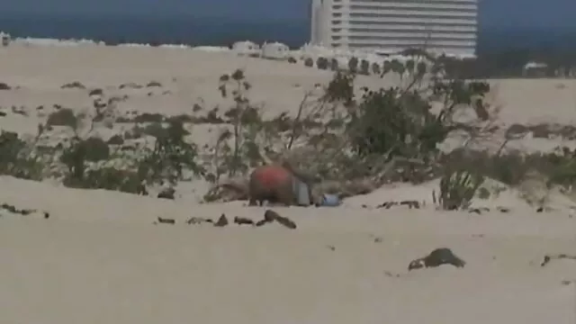 Trío con ano mujer xxx la tripulación del barco